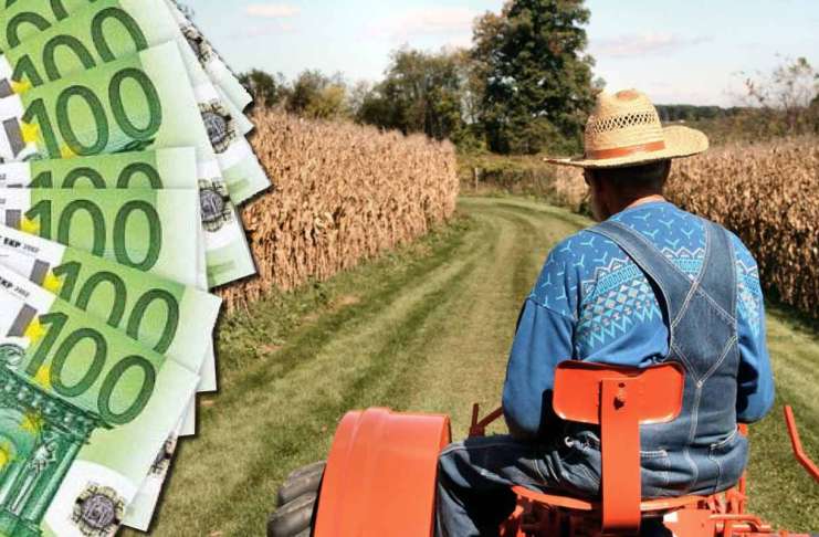 Diferențe uriașe privind creditele agricole: 511 dolari/ha în România, față de 3.600 dolari/ha în Germania!