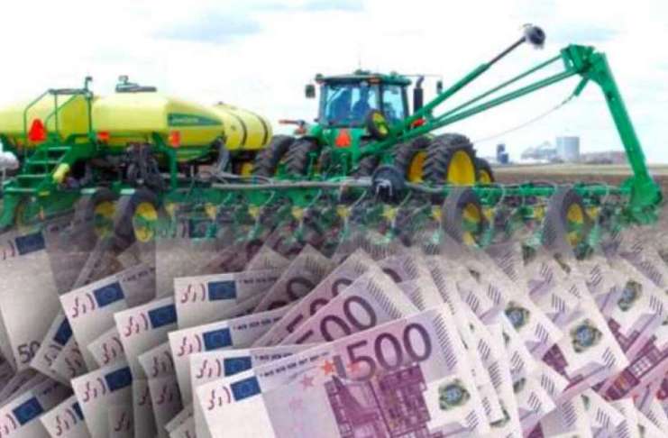 Ce culturi au câștigat pariurile în agricultură. Prețurile sunt în creștere!