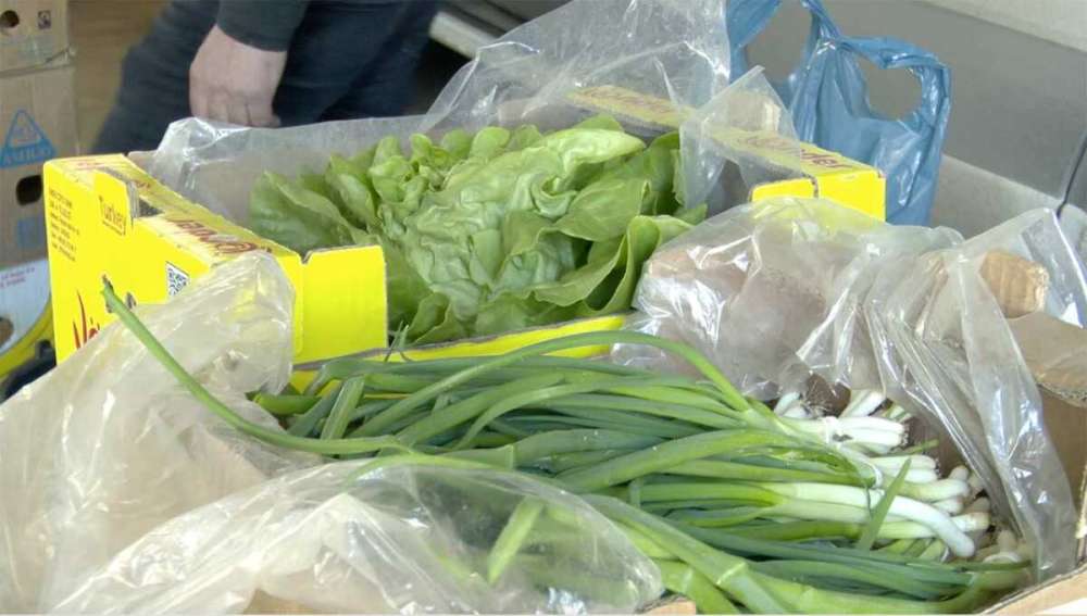 Face concurență supermarketurilor, cu legume proaspete și verdețuri în plină iarnă 7 Depozit legume proaspete solarii