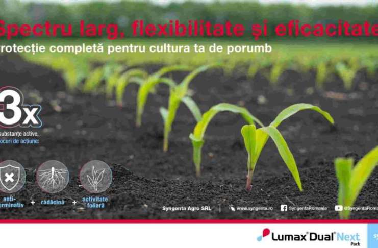 Syngenta – lider în preemergență și postemergență timpurie la cultura de porumb odată cu lansarea pachetului erbicid Lumax® Dual® Next