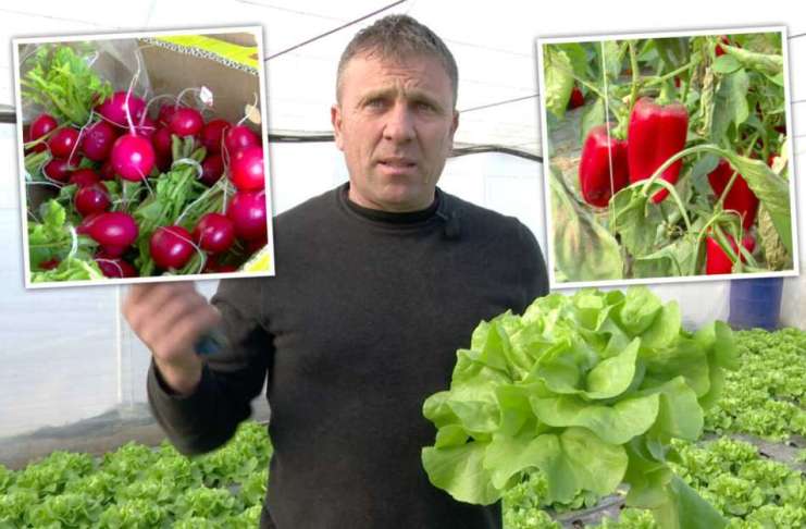 Face concurență supermarketurilor, cu legume proaspete și verdețuri în plină iarnă