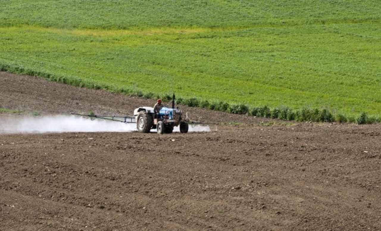 România autorizează Cruiser 350 FS în 2025: Impact asupra agriculturii și mediului, sfidare la adresa UE 2 neonicotinoide - Cruiser 350 FS