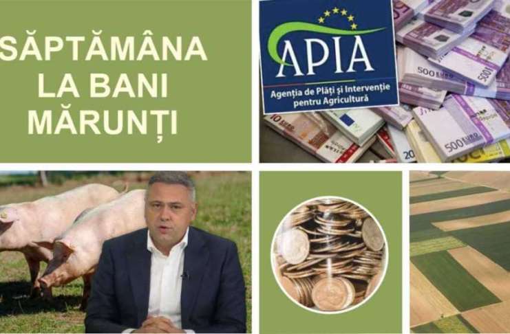 Săptămâna Agricolă 20-26 ianuarie 2025 – Noi reguli în cazul PPA; Situația plăților APIA; Se vând fermele
