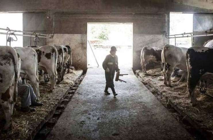 Noua condiție OBLIGATORIE pentru fermierii care vor să primească subvenții în 2025