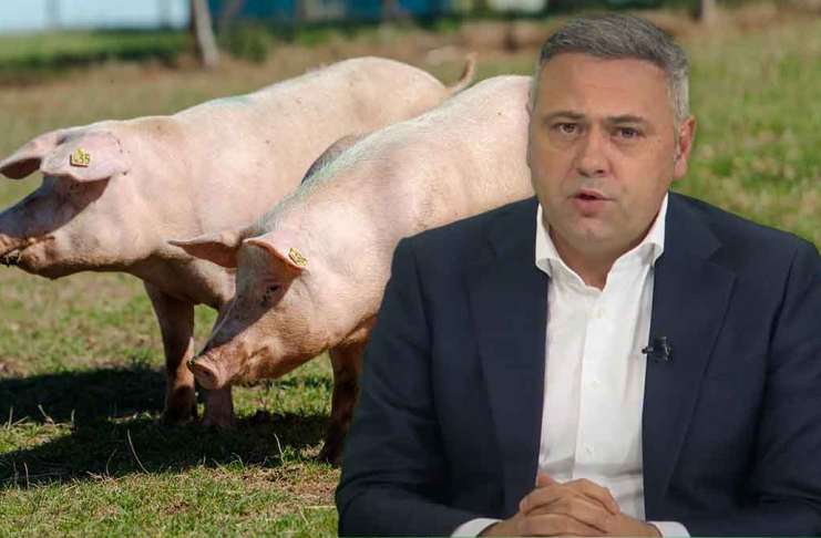 Ministrul Agriculturii: Nu vor mai fi sacrificați toți porcii în caz de PPA!