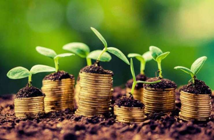 Cresc subvențiile pentru fermierii români? Ce se pregătește pentru următorii ani