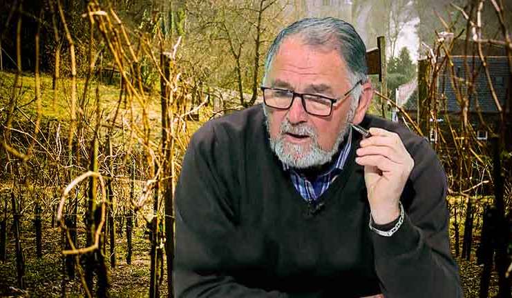 VIDEO Dr. Ing. Horia Ghibu – De ce trebuie făcute tratamentele de iarnă la vița de vie