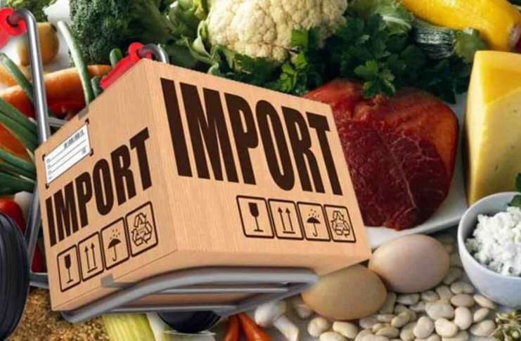 Exporturi masive, procesare redusă – Ce facem cu industria alimentară?!