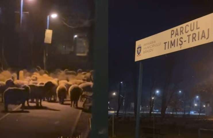 Oile la joacă: Imagini virale dintr-un parc public pentru copii