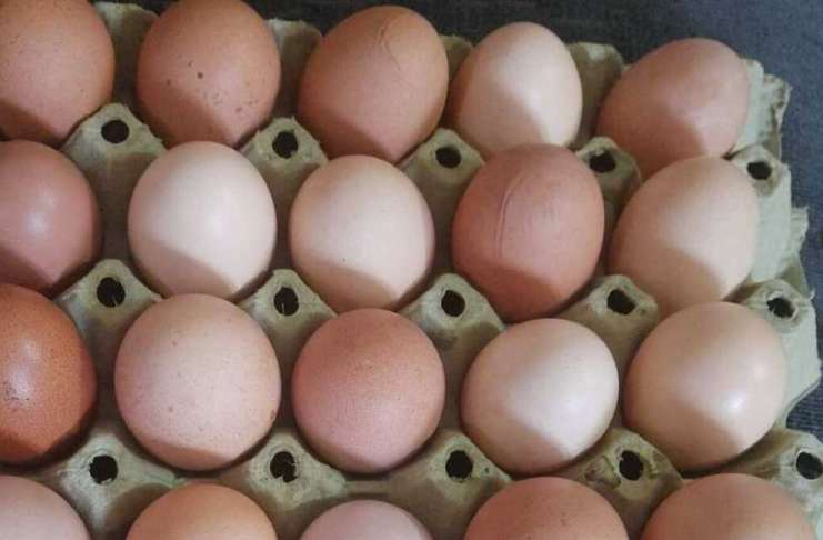 Ouăle de casă, tot mai căutate: Cât costă produsele direct de la gospodari