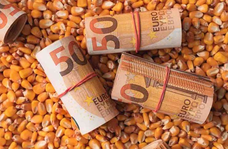 Prețul cerealelor în Portul Constanța – Când încep să crească prețurile