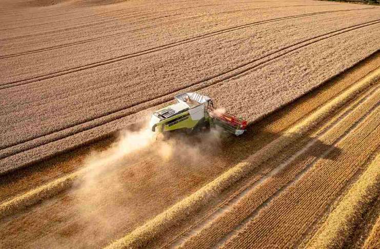 Prețul cerealelor la începutul lui 2025 – Ce urmează pentru grâu, porumb și orz
