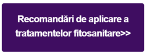Dacă ai viță-de-vie și nu ai efectuat încă aceste lucrări, acum este momentul, în repaus vegetativ Advertorial repaus vegetativ