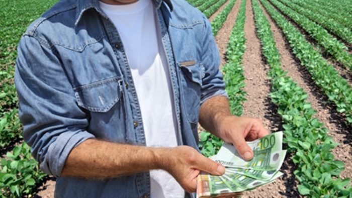 microgranturi eco-scheme APIA instalarea tinerilor fermieri micii fermieri AFIR