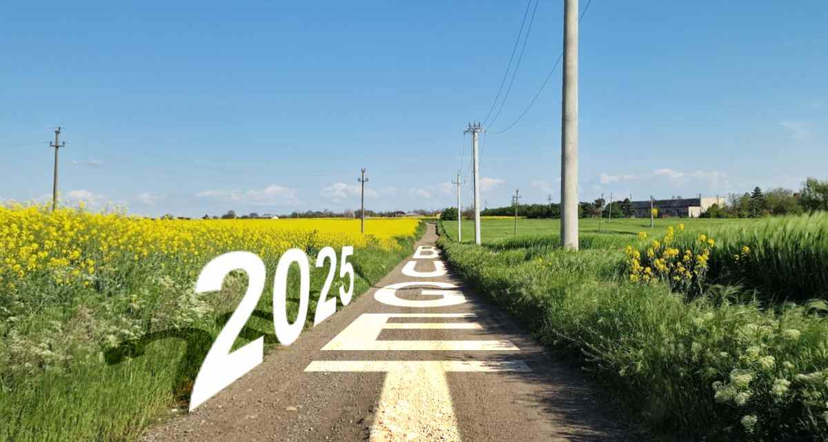 bugetul 2025