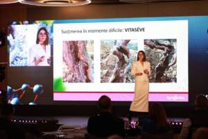 Agora Vitis 2025, eveniment dedicat viticulturii românești, o continuare a tradiției întâlnirilor organizate de Syngenta România Advertorial Agora Vitis 2025