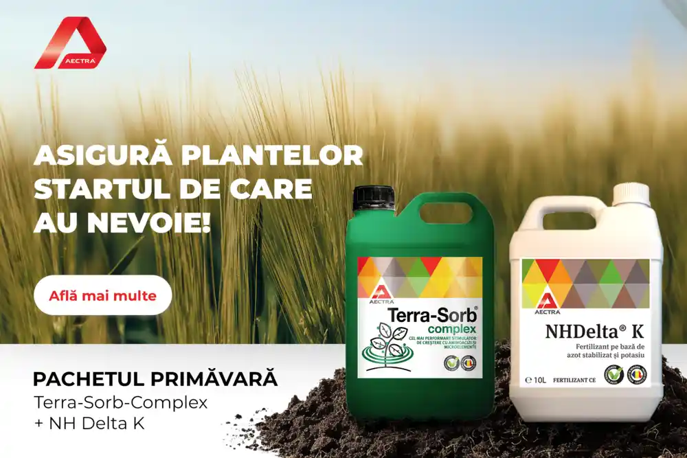 Primăvara 2025 - Între speranță și provocare. Asigură plantelor startul de care au nevoie 3 Primăvara 2025 - Între speranță și provocare. Asigură plantelor startul de care au nevoie Primăvara 2025 - Între speranță și provocare. Asigură plantelor startul de care au nevoie Advertorial Primăvara 2025