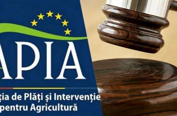 Soție de primar, condamnată pentru fraudă cu subvenții APIA