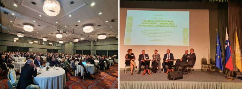 Singura soluție pentru fermierii mici și mijlocii pentru a rămâne fermieri 3 Singura soluție pentru fermierii mici și mijlocii pentru a rămâne fermieri Singura soluție pentru fermierii mici și mijlocii pentru a rămâne fermieri Comunicate fermierii mici și mijlocii,Florentin Bercu,AAC