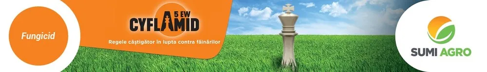 Doi regi la aceeași masă - discuție cu Domnul Dr.ing. Dimitrie MUSCĂ - Directorul CAI CURTICI și CAI OLARI Advertorial Dimitrie MUSCĂ