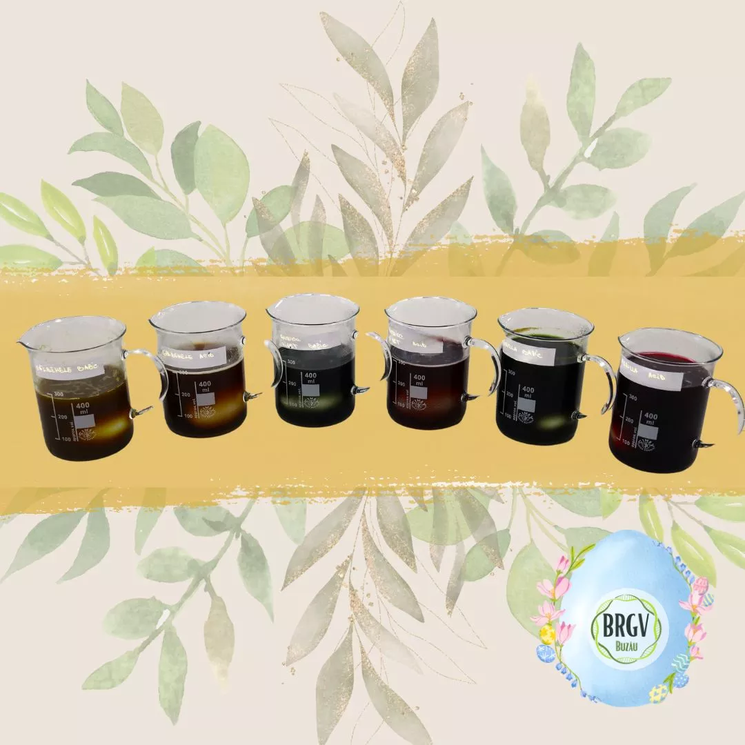 Recomandări de Paște: Ouă vopsite cu pigmenți naturali Recomandari ouă vopsite,Paște