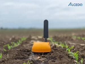 Monitorizarea umiditatii solului – cheia unei agriculturi eficiente prin utilizarea senzorul de umiditate CropX Advertorial