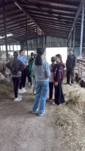 Schema - ,,împrumută un miel” introdusă în școli Actualitate școli