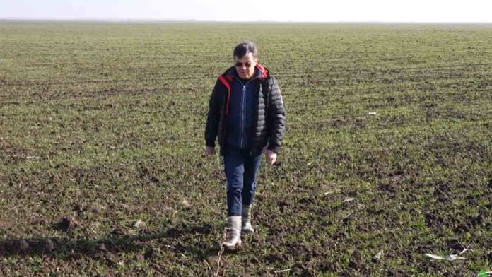 Fermierul Marian Popa, cea mai bună producție de rapiță din carieră