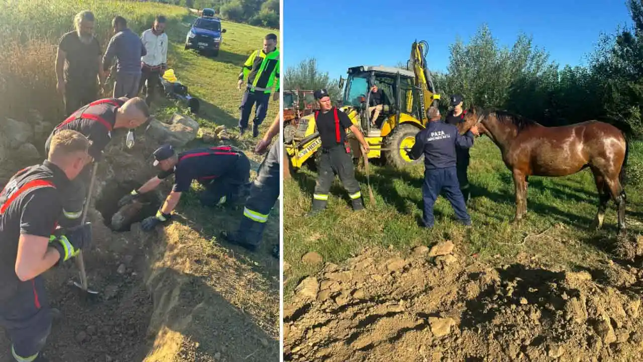 S-au trezit cu calul în fântână și au sunat la 112! (VIDEO) 2 S-au trezit cu calul în fântână și au sunat la 112! (VIDEO) S-au trezit cu calul în fântână și au sunat la 112! (VIDEO) Actualitate s-au trezit cu calul în fântână,misiuni de salvare a animalelor