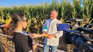 Investiții mici, câștiguri mari: Noul hibrid de porumb în care fermierii au încredere 7 Investiții mici, câștiguri mari: Noul hibrid de porumb în care fermierii au încredere Investiții mici, câștiguri mari: Noul hibrid de porumb în care fermierii au încredere Advertorial hibrid de porumb