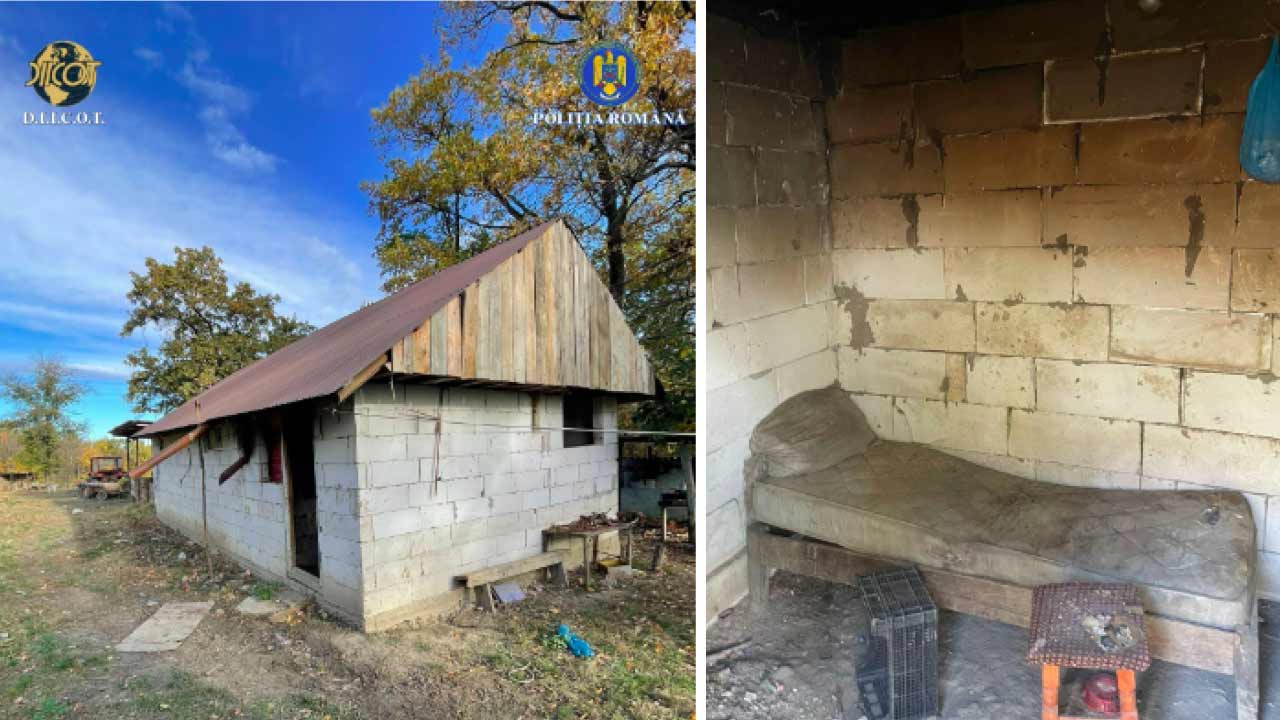 Doi frați, implicați într-un nou caz de sclavie la stână! 4 Doi frați, implicați într-un nou caz de sclavie la stână! Doi frați, implicați într-un nou caz de sclavie la stână! Actualitate sclavie la stână,exploatat