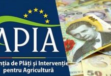 APIA accelerează plățile către fermieri: 50 de milioane de EURO pe zi
