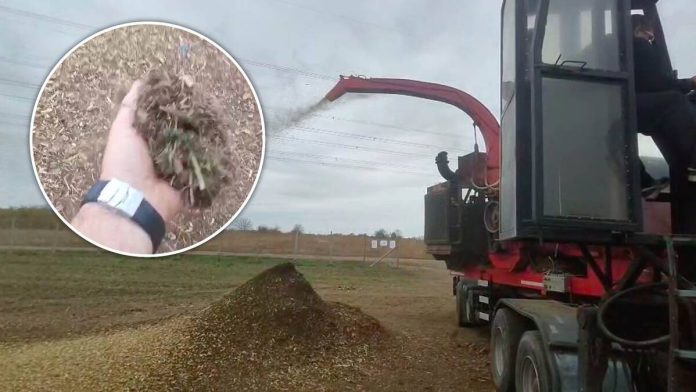 Compost-resturi-vegetale-ingrasamant-gratis-pt-fermieri