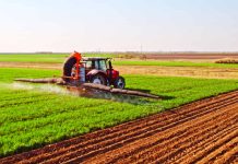 Clubul Fermierilor Români reacționează la reforma Politicii Agricole Comune: Risc major pentru fermierii europeni