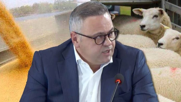 Florin-Barbu-Romania-exporturii