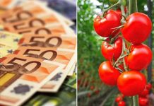 Legumicultorii cer modificarea condițiilor pentru subvenții! Se cere și închiderea Casei Unirea