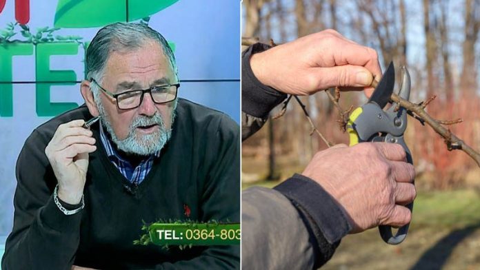 horia-ghibu-taierile-de-iarna