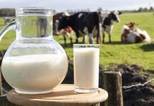 Apa minerală este mai scumpă decât laptele: de ce dispar vacile din satele moldovenești