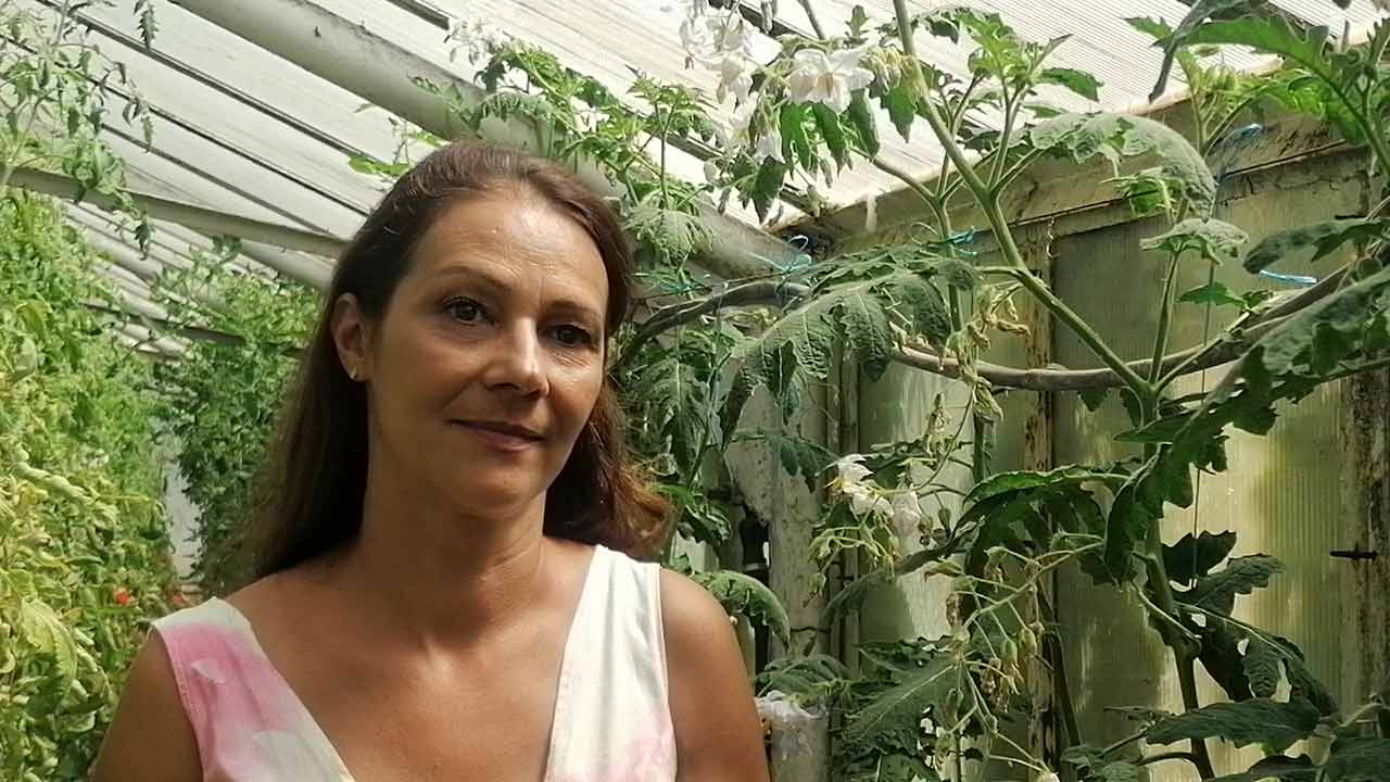 Cercetarea românească dă rezultate: Tehnologii pentru legume mai rezistente la secetă 3 Cercetarea românească dă rezultate: Tehnologii pentru legume mai rezistente la secetă Cercetarea românească dă rezultate: Tehnologii pentru legume mai rezistente la secetă Stiri agricole Tehnologii