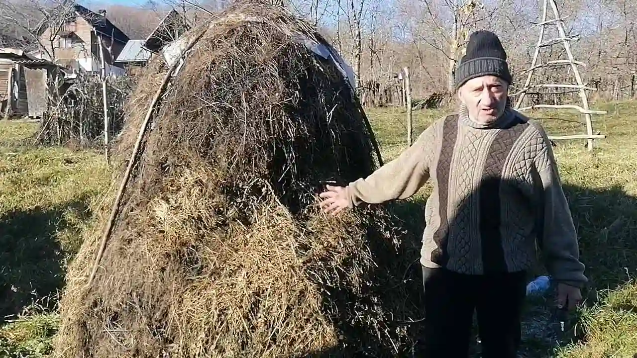 În Arges, primul miel a vestit cum va fi anul 2026! 3 În Arges, primul miel a vestit cum va fi anul 2026! În Arges, primul miel a vestit cum va fi anul 2026! Stiri agricole cum va fi anul 2026,primul miel
