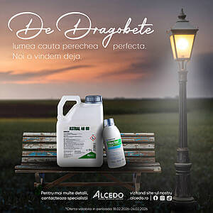 ALCEDO lansează pachete pentru porumb și grâu. Control complet în câmp Advertorial ALCEDO