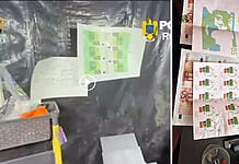 Fabrică de bani falși într-o comună din Suceava. Cum erau distribuite bancotele în piață (VIDEO)