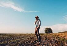 Grâul în 2026: Producție ridicată, dar presiune pe prețuri