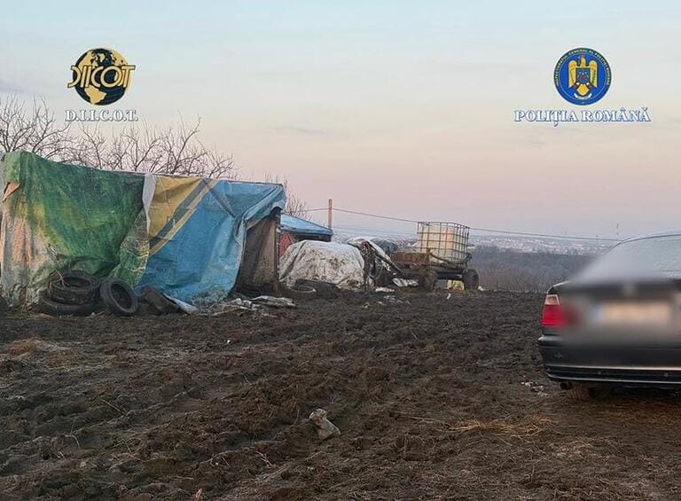 Sclavie la o fermă de animale din Iași! Un minor și un adult, exploatați cu cruzime la doi pași de marginea orașului! Actualitate sclavie,fermă de animale