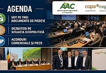 România la masa deciziilor europene: ce a cerut Alianța pentru Agricultură la Copa-Cogeca în această săptămână și de ce contează pentru fermierii noștri