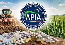 Faliment, credite blocate, terenuri vândute: ce se întâmplă cu fermierii români dacă APIA nu plătește până la 30 iunie