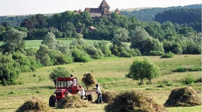 NOU: 200 de euro pe hectar pentru fânețe! Care sunt condițiile
