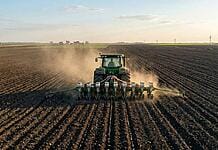 România cultivă în 2026 peste 1,5 milioane hectare de porumb, dar profitul rămâne incert la 950 lei/tonă