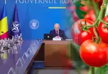 Guvernul pregătește banii pentru schema de susținere a producției de legume cultivate în spații protejate