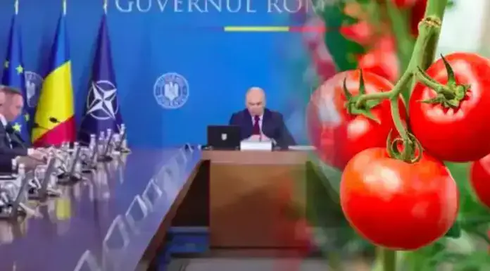 Guvernul pregătește banii pentru schema de susținere a producției de legume cultivate în spații protejate